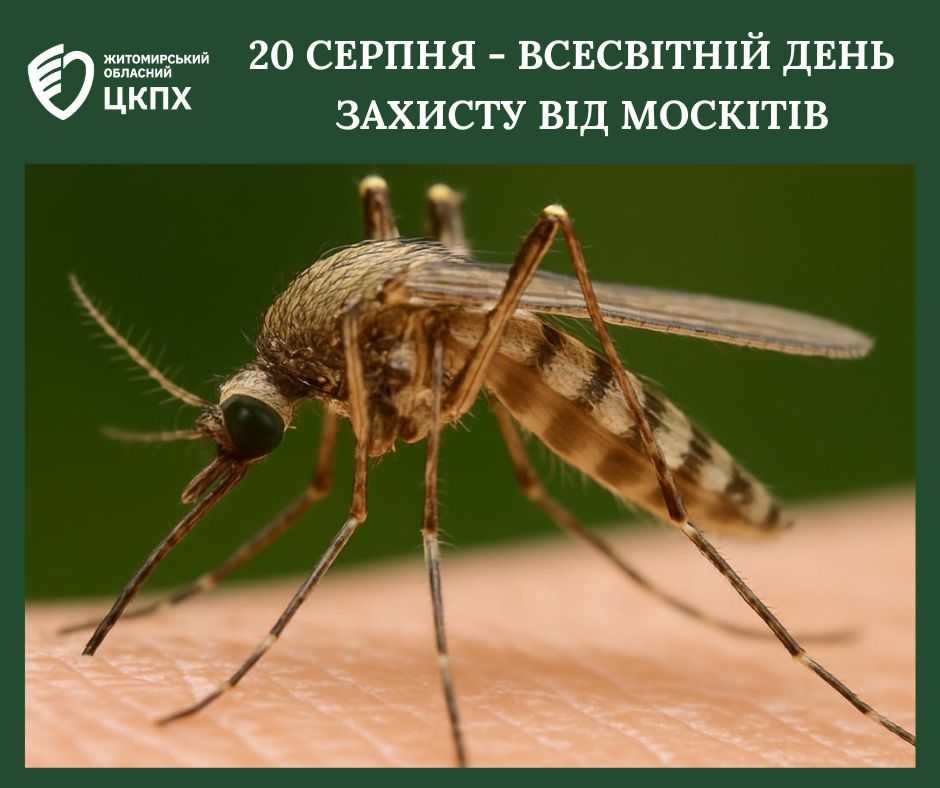 Вітряна віспа: як захистити дітей Вітряна віспа: як захистити дітей